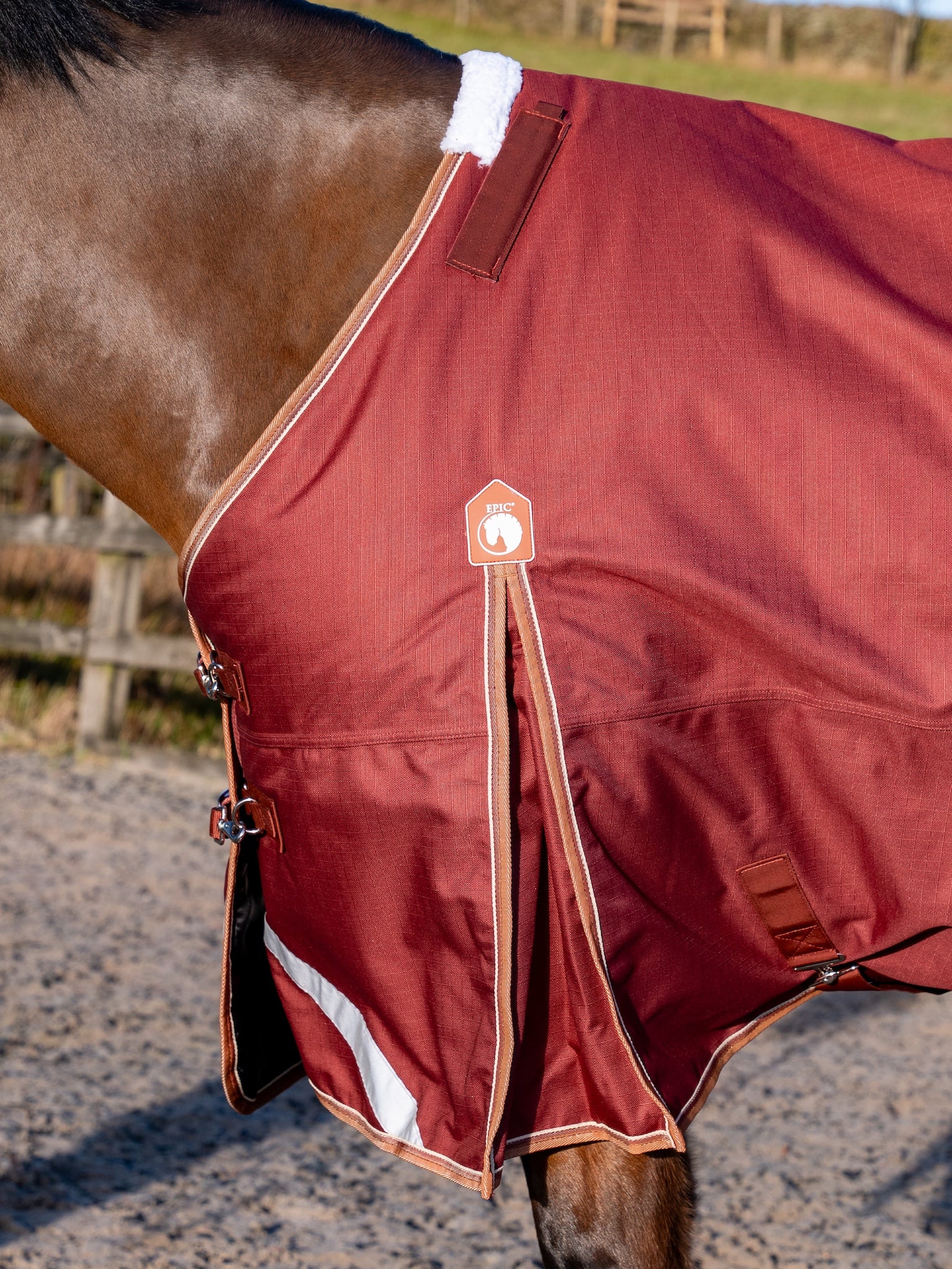 Epic Essential 200g Turnout Rug - Regular Fit