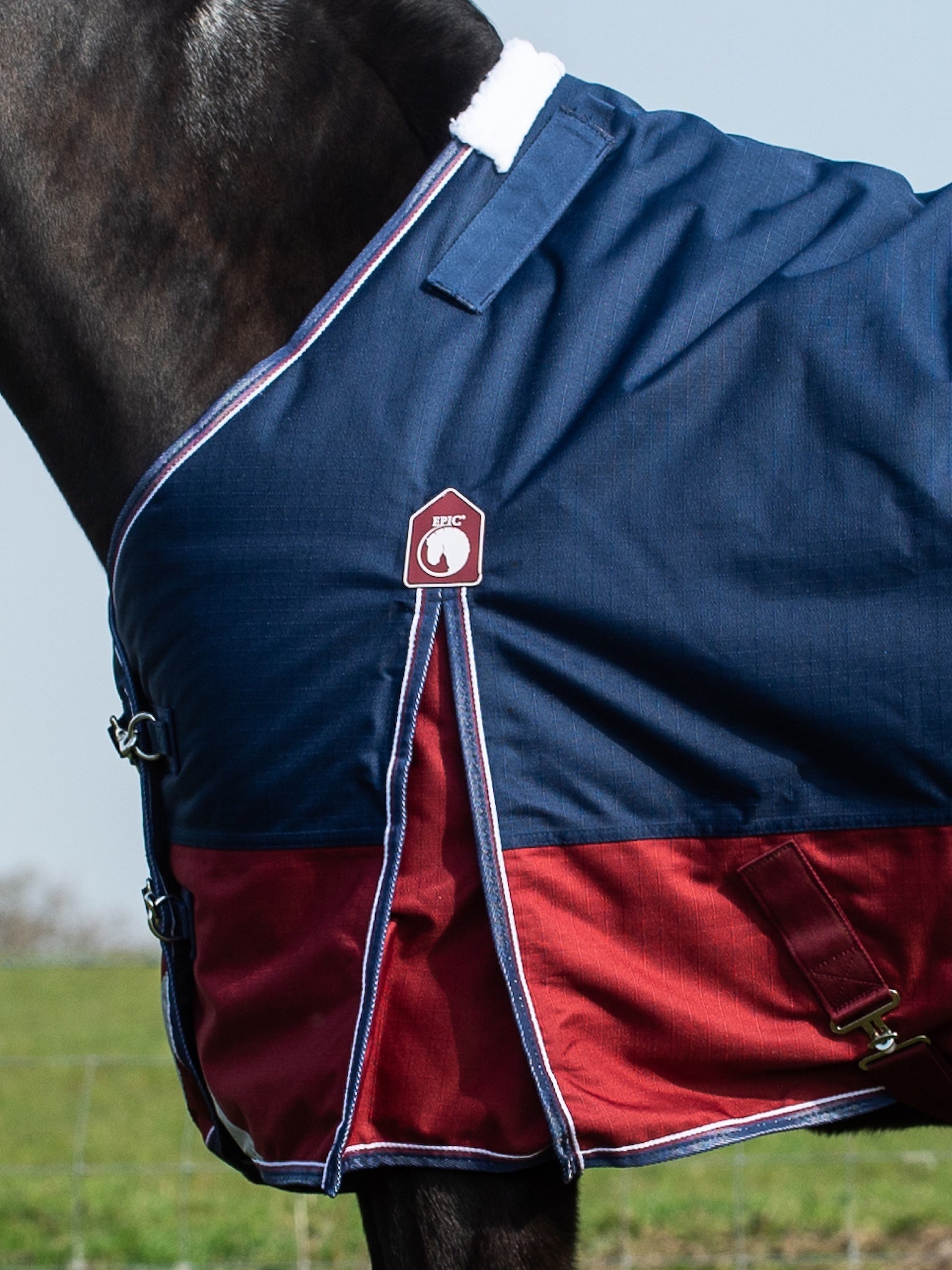 Epic Essential 200g Turnout Rug - Regular Fit