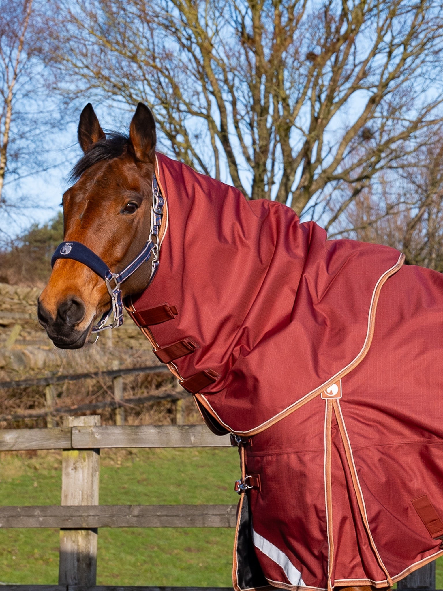 Epic Essential 200g Turnout Hood - Regular Fit