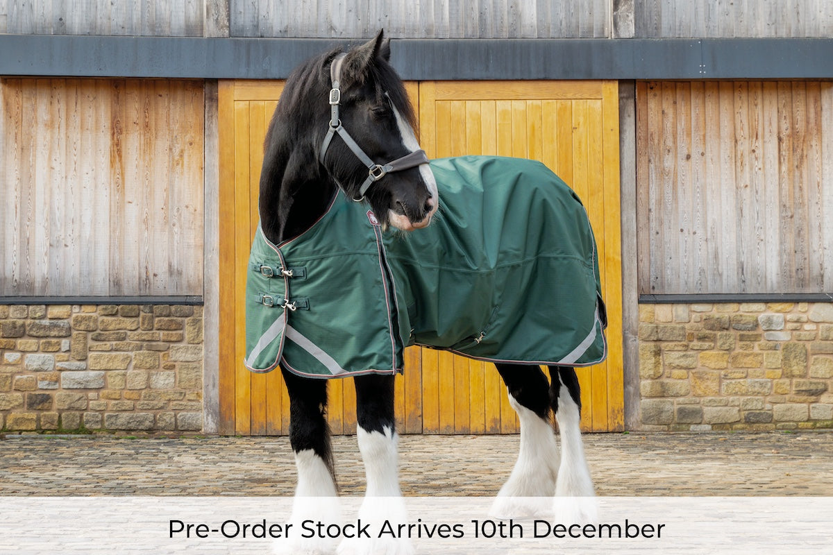Pre-Order Epic Essential 100g Turnout Rug - Broad Fit