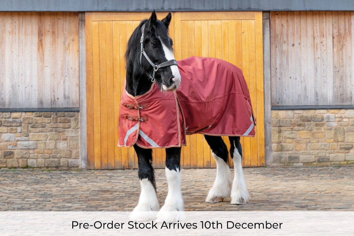 Pre-Order Epic Essential 200g Turnout Rug - Broad Fit