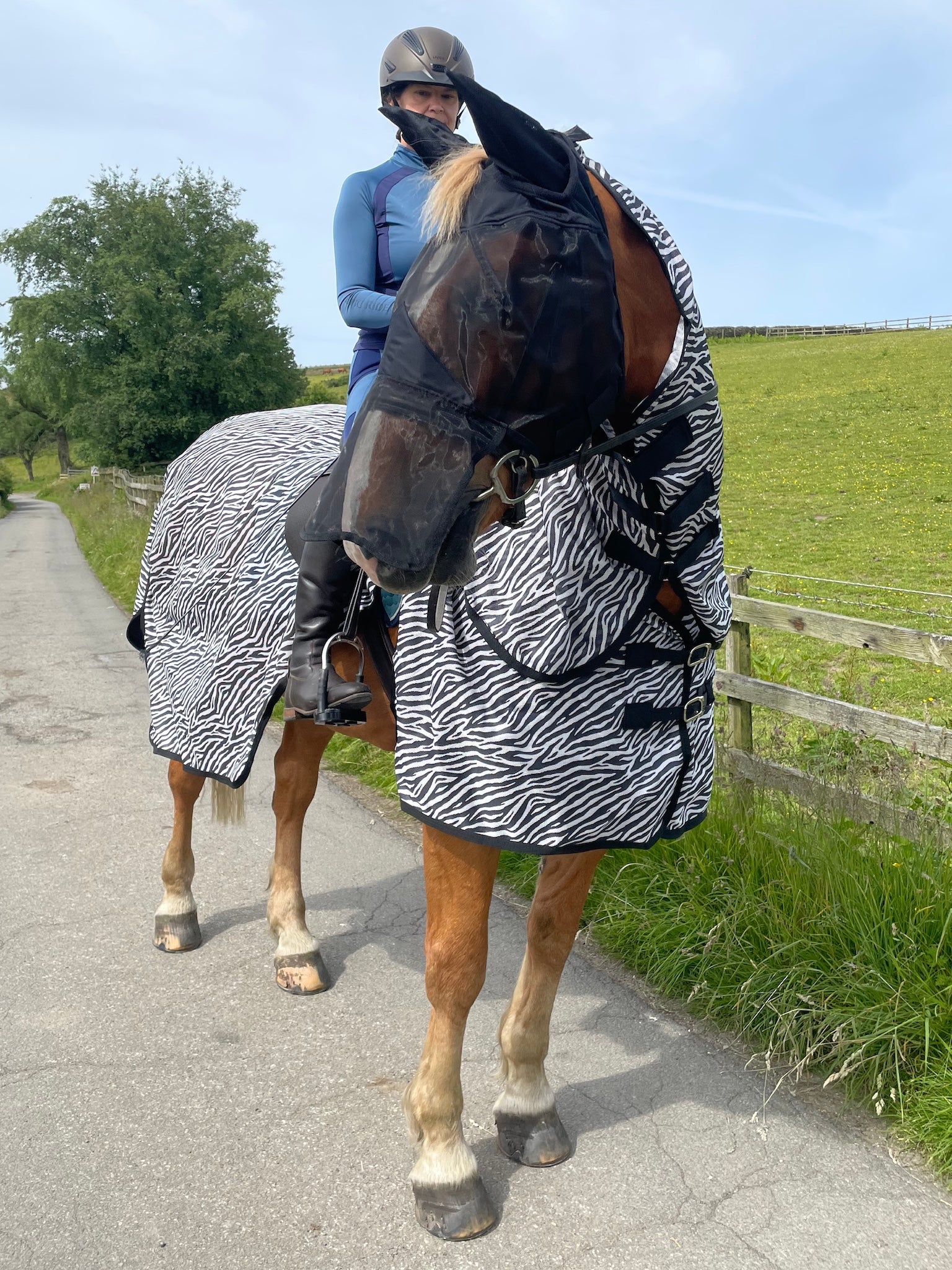 Epic Classic Nylon Fly Mask