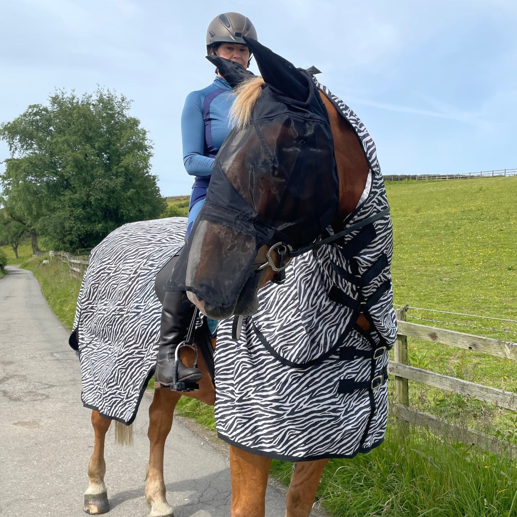 Horse wearing a zebra-patterned blanket with a person on horseback in a rural setting.