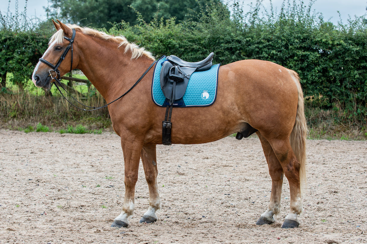Epic Classic Hi-Wither Dressage Saddle Cloth