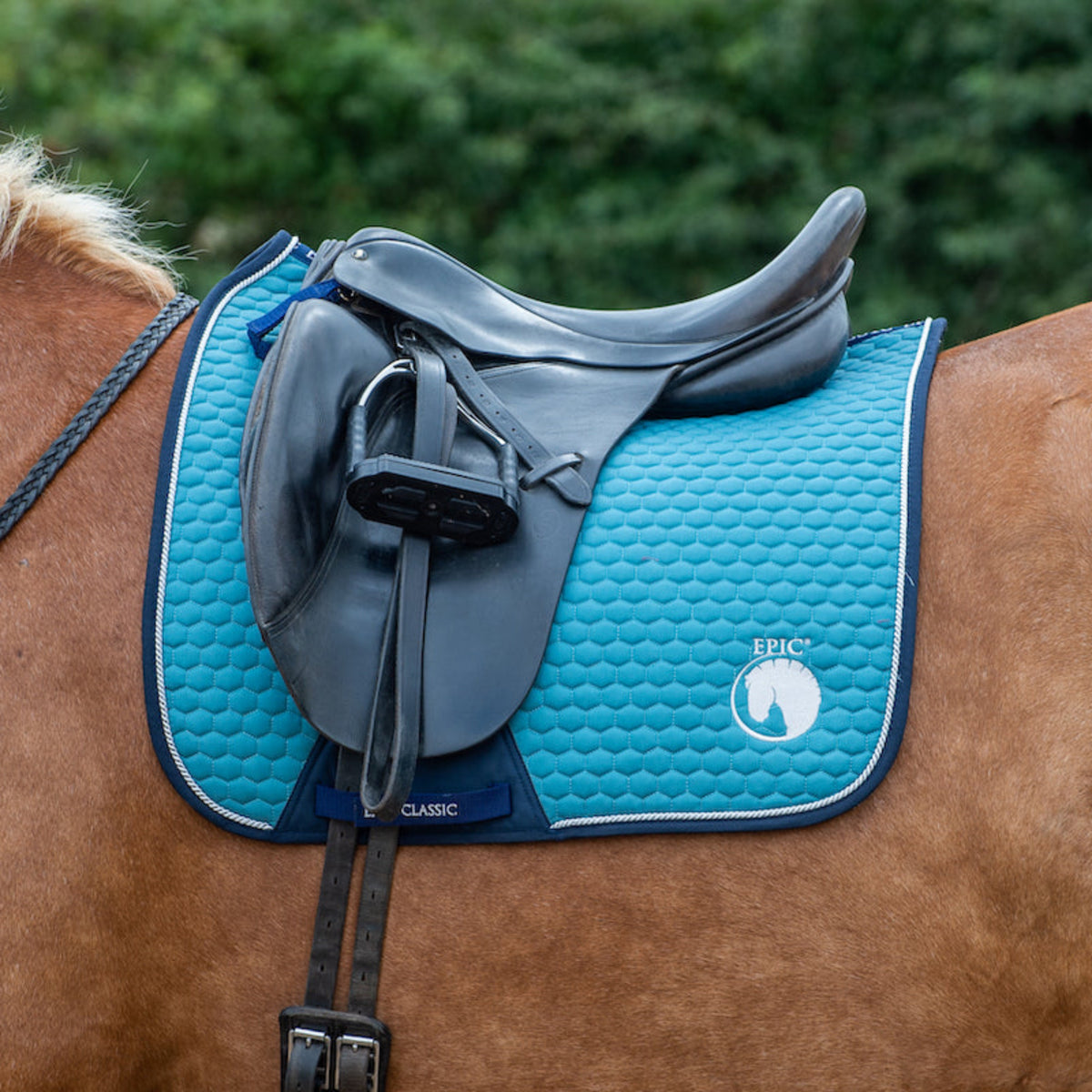 Epic Classic Hi-Wither Dressage Saddle Cloth - Teal