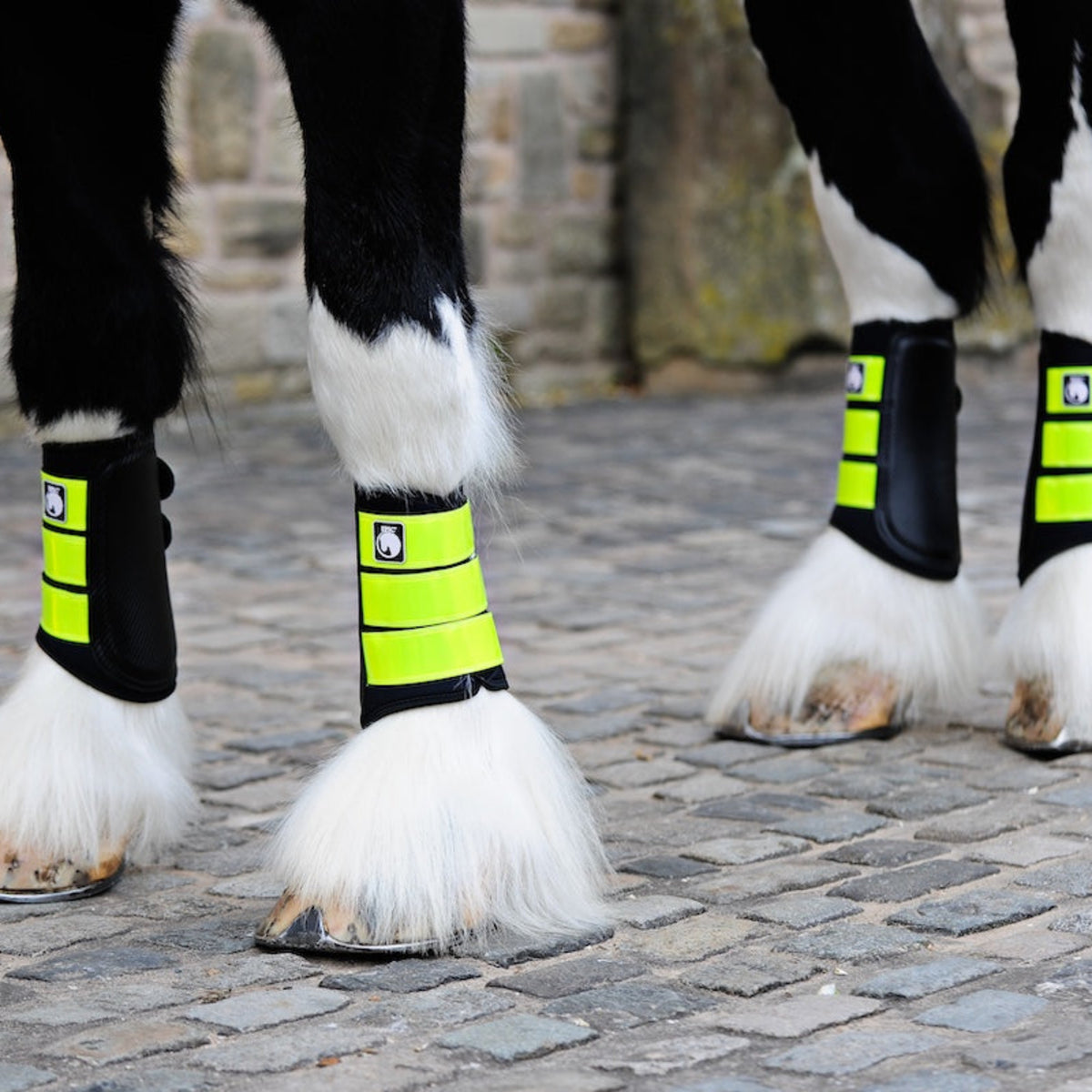 Horse legs with protective leg wraps on a cobblestone surface