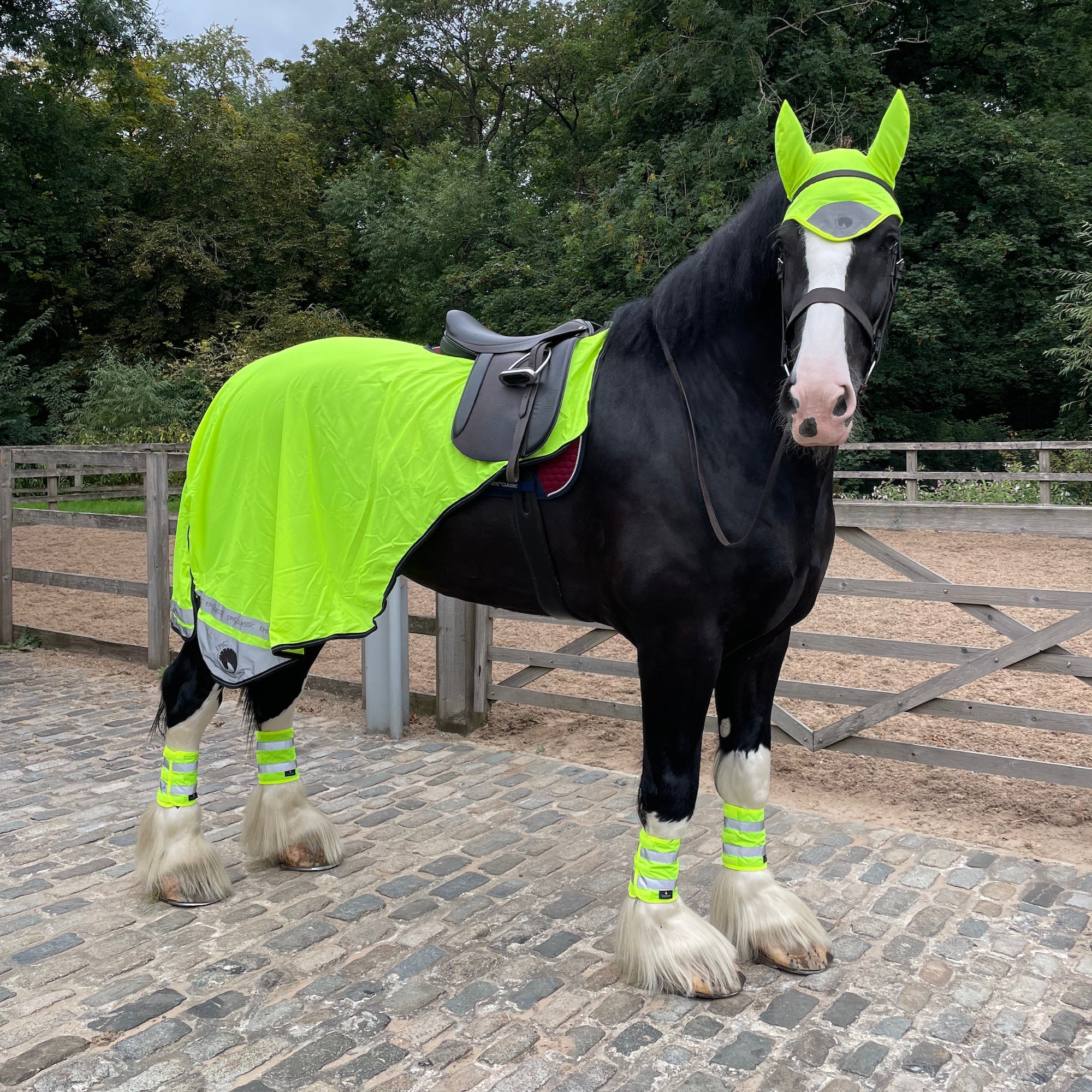 A black horse standing in an outdoor stable area wearing a bright neon yellow-green reflective horse blanket, matching headpiece, and leg wraps with reflective strips.