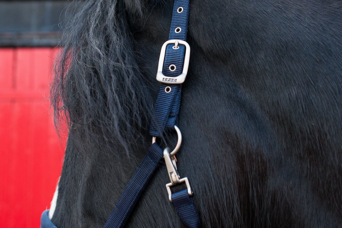 Epic Classic Comfort Fleece Head Collar