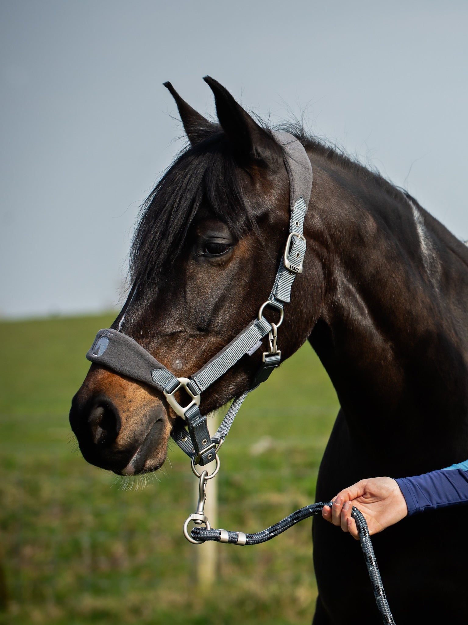 Epic Classic Adjustable Fleece Headcollar & Lead Rope - Slate
