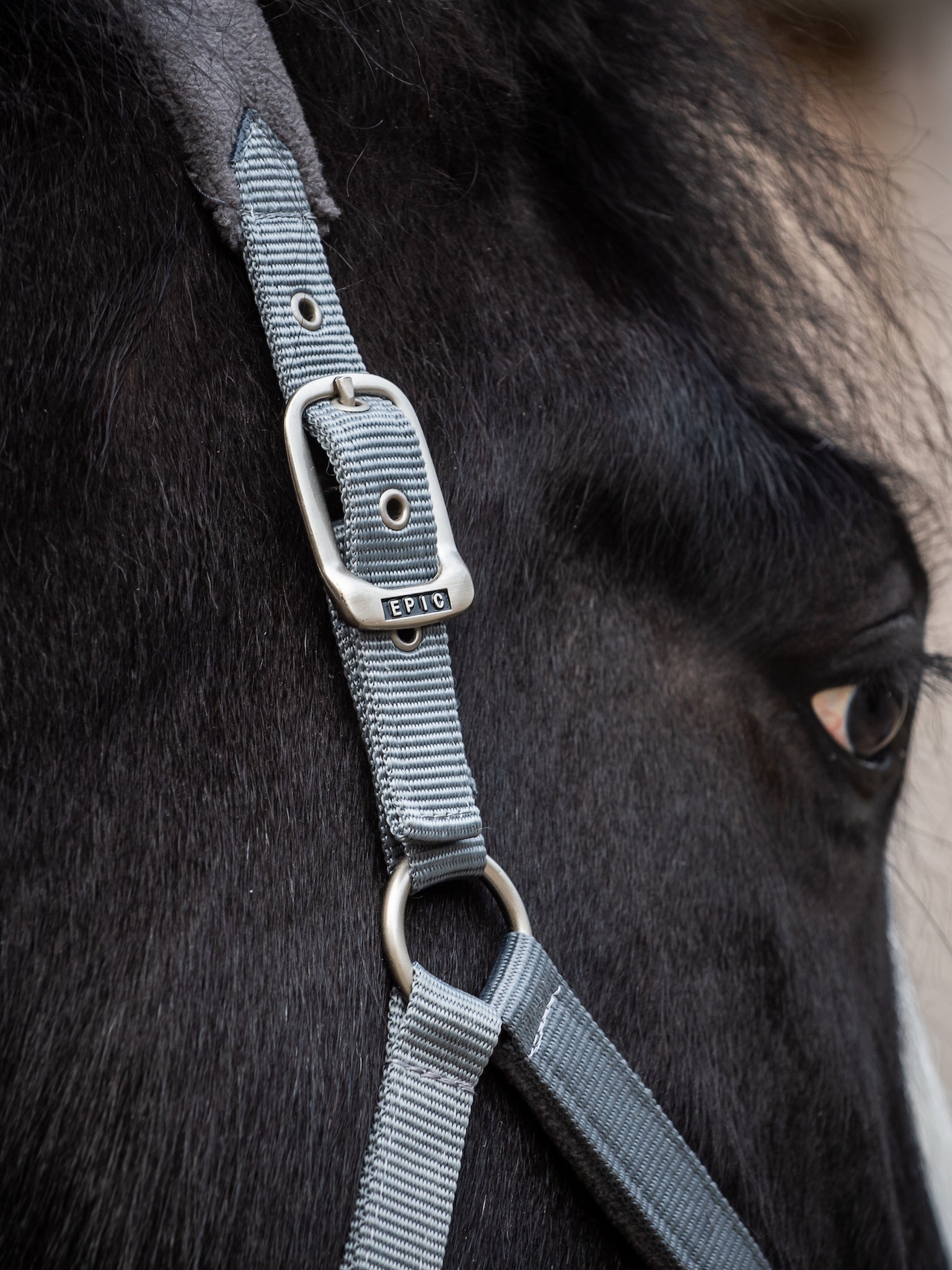 Epic Classic Adjustable Fleece Headcollar & Lead Rope - Slate