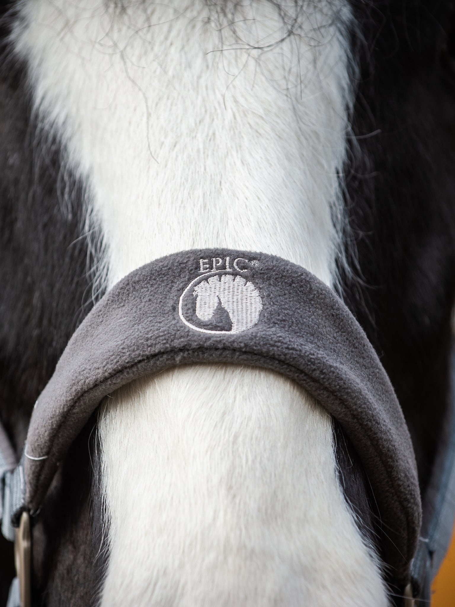 Epic Classic Adjustable Fleece Headcollar & Lead Rope - Slate
