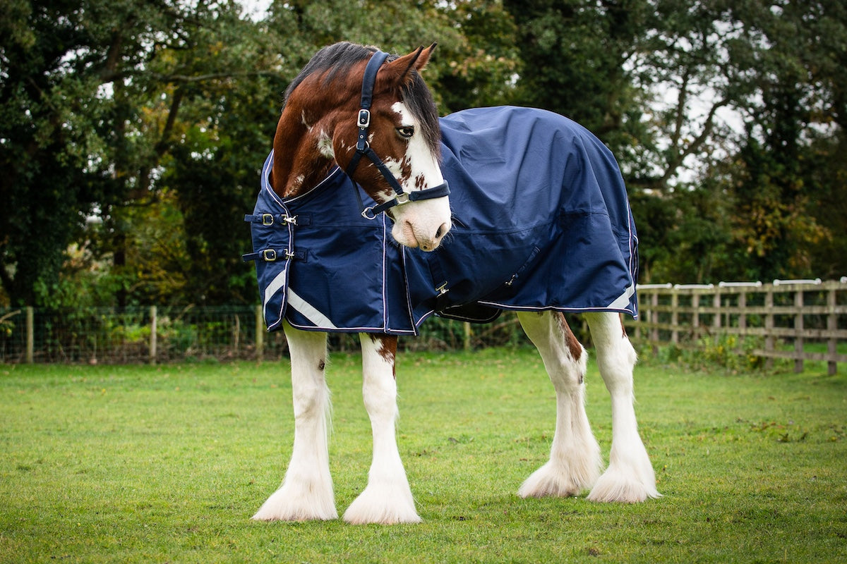 Epic Essential 40g Turnout Rug  -  Broad Fit