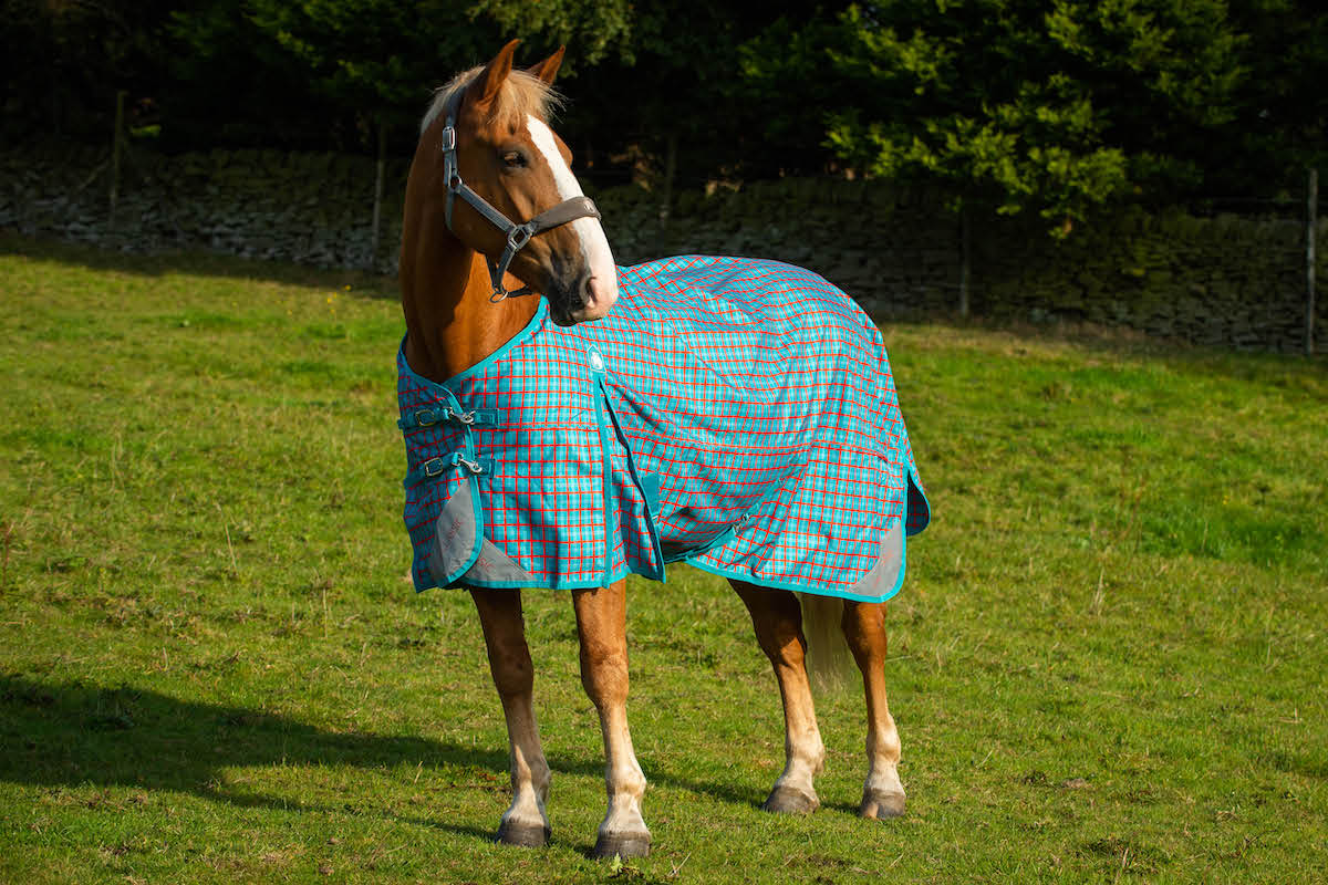 Epic Classic No Fill Turnout Rug  -  Broad Fit