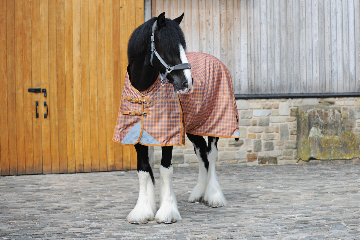Epic Classic No Fill Turnout Rug  -  Broad Fit