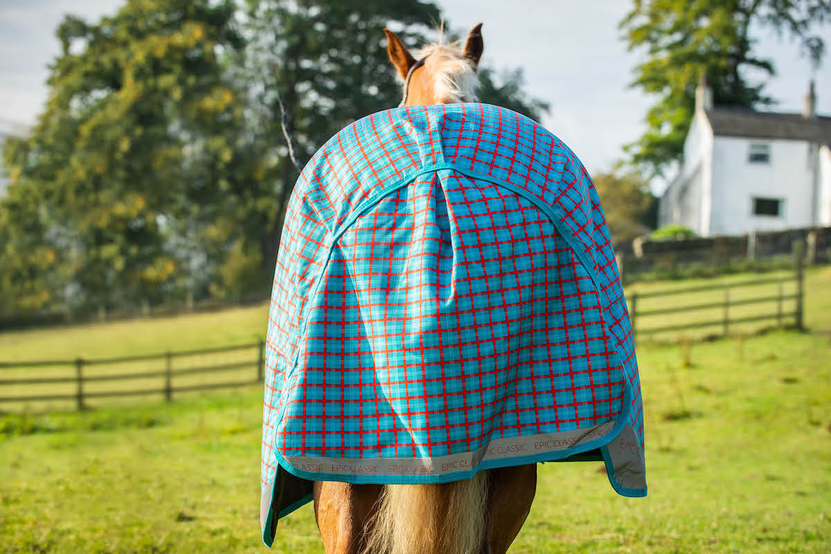 Epic Classic No Fill Turnout Rug - Broad Fit