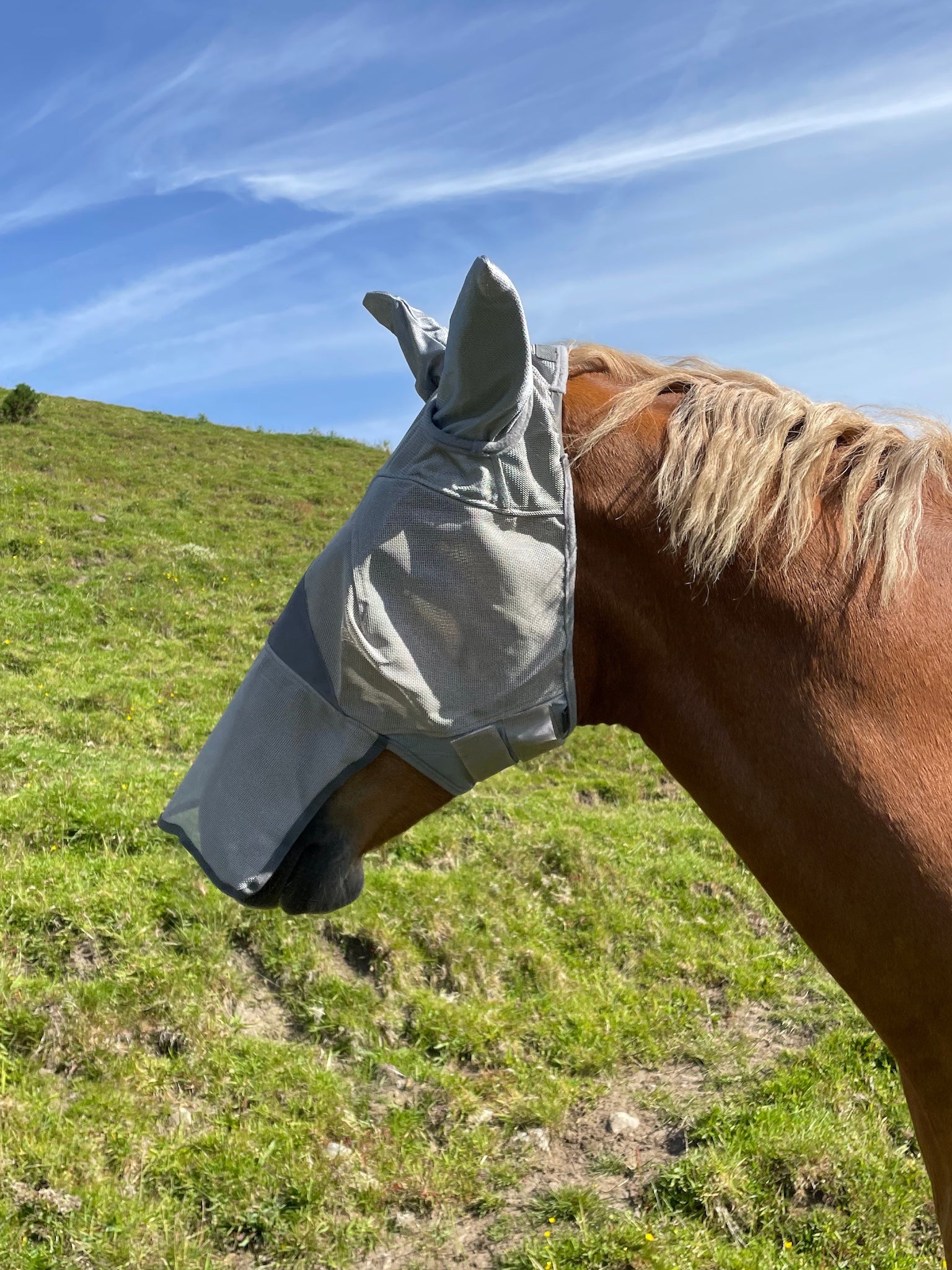 Epic Classic PVC Fly Mask