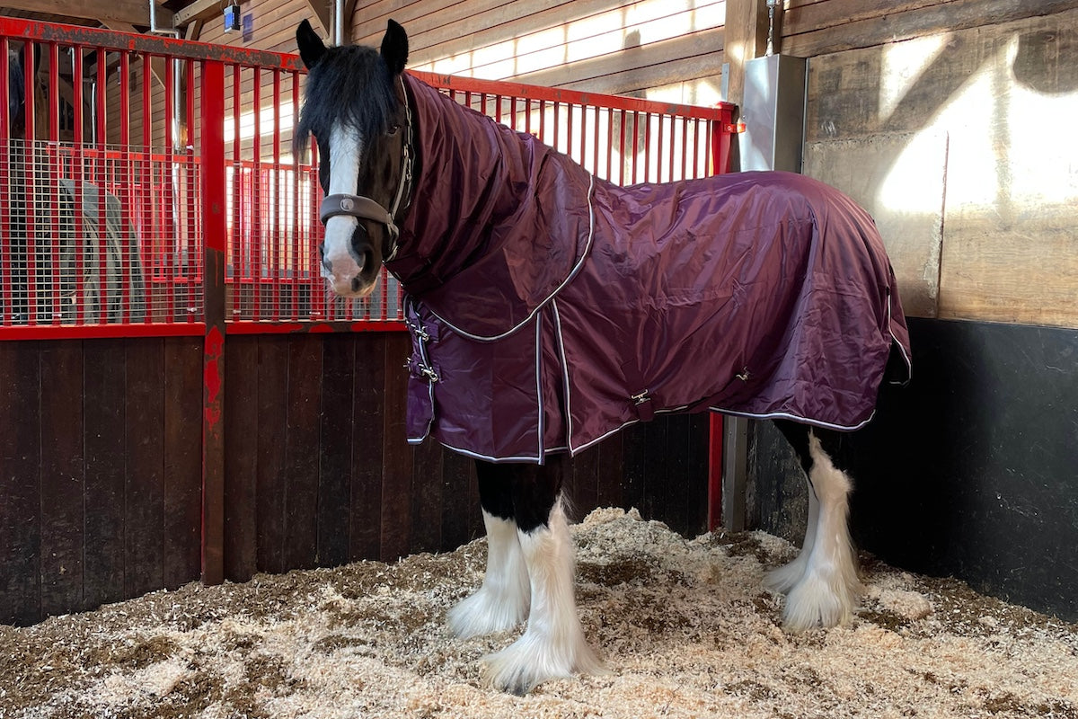 Epic Classic 50g Stable Hood - Broad Fit