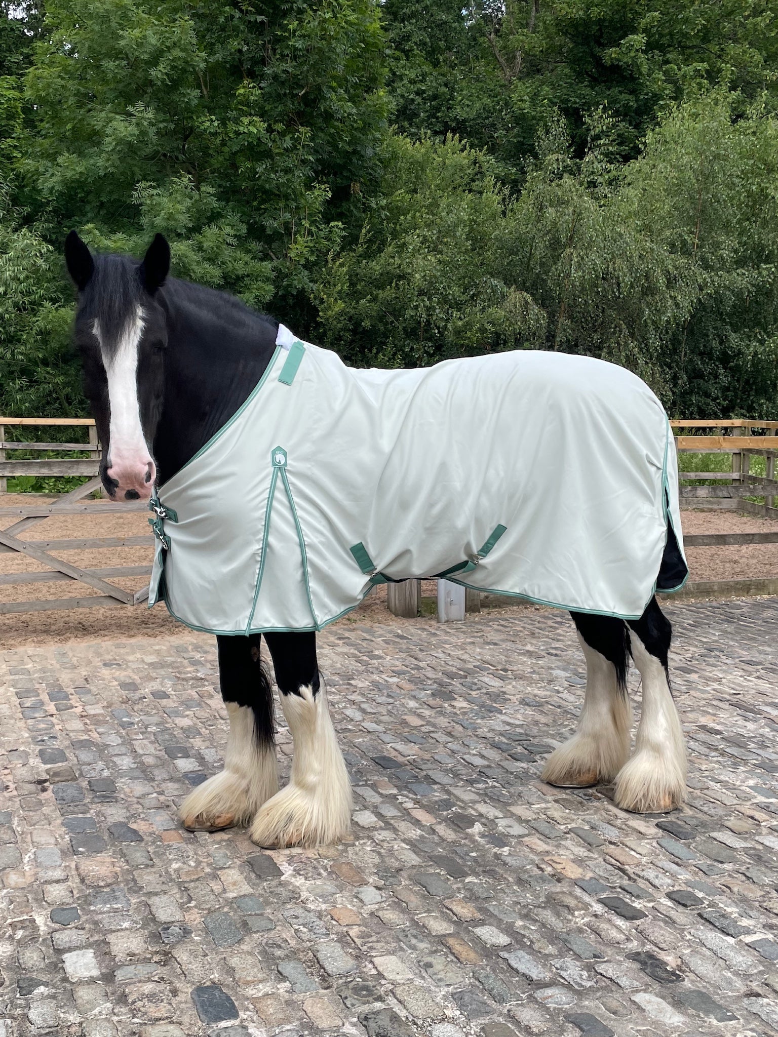 Epic Classic Summer Sheet with Neck Cover - Broad Fit