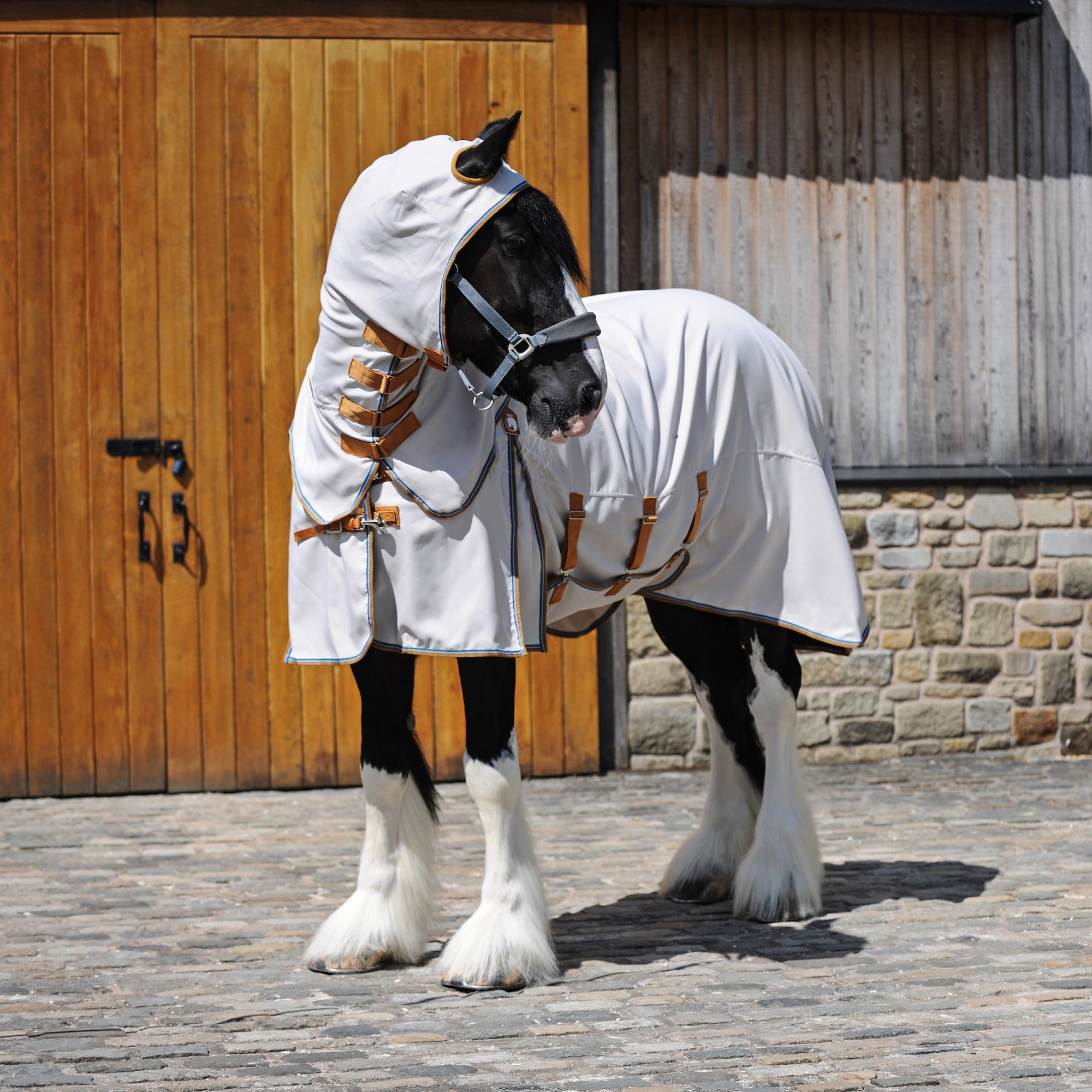 A black and white horse wearing a white horse sweet itch blanket with yellow trim and a matching white horse halter, standing on a cobblestone street in front of a wooden barn door.