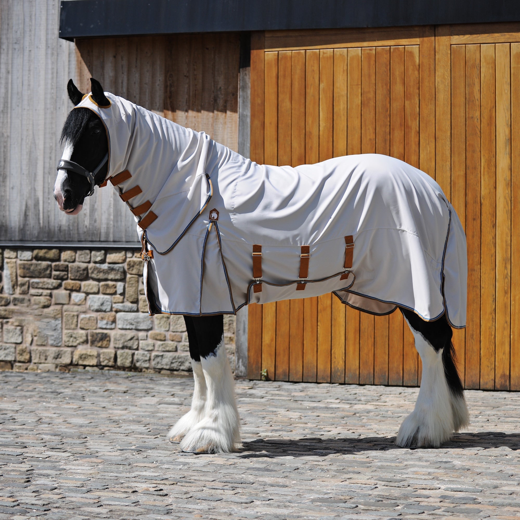 A black and white draft horse wearing a white horse fly blanket with brown straps, standing on a cobblestone street in front of a wooden stable.