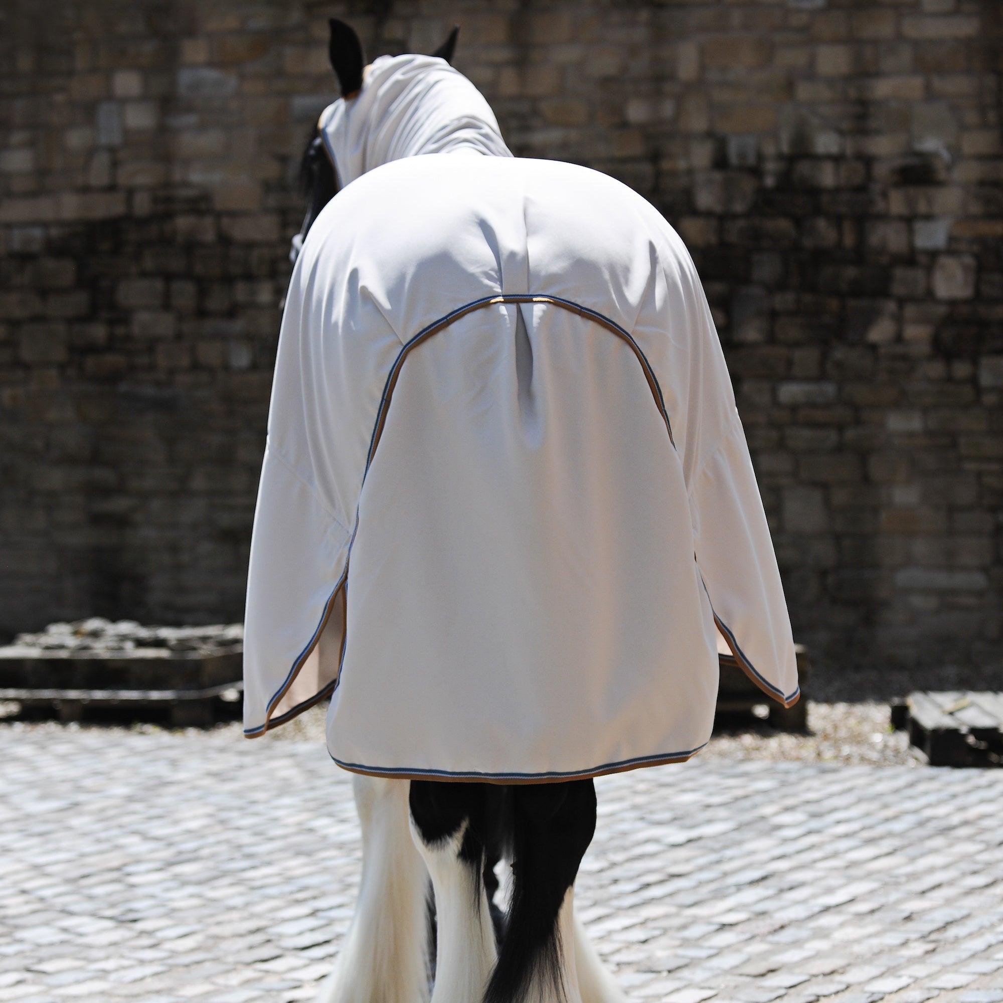 A horse wearing a white sweet itch blanket with dark trim, photographed from behind in an outdoor stable with a stone wall and cobblestone floor.