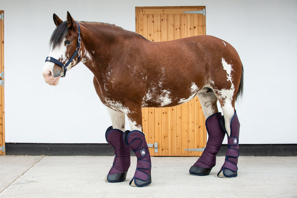 Epic Classic Travel Boots - Broad Fit