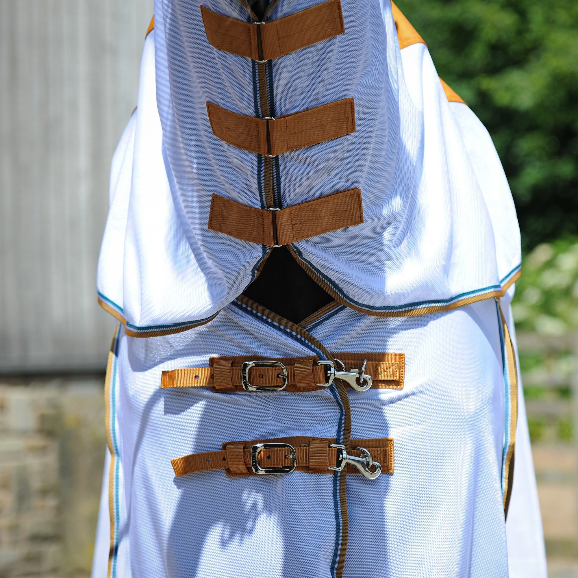 Close-up of the back of a white horse wearing a waterproof fly rug with orange straps and buckles, photographed outdoors against a blurred background.