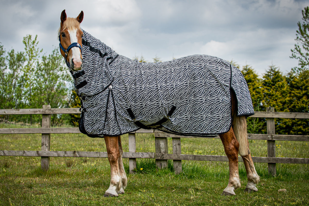 Epic Classic Zebra Fly Rug - Broad Fit