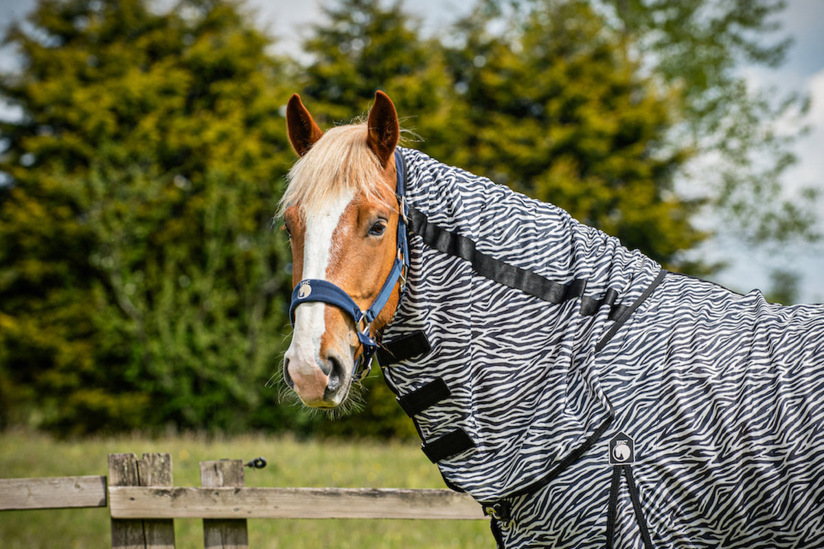 Epic Classic Zebra Fly Rug - Broad Fit