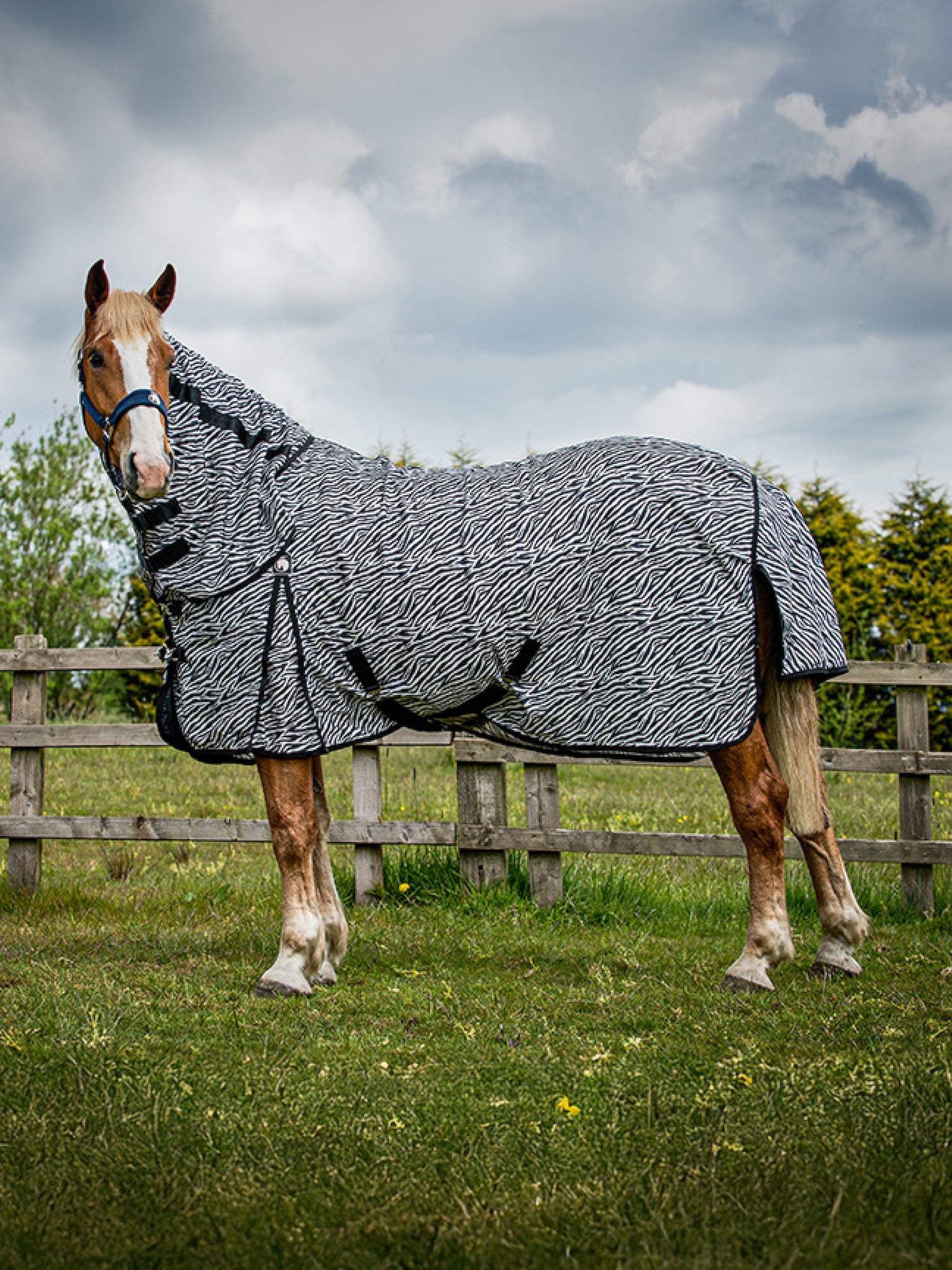 Epic Classic Zebra Fly Rug - Broad Fit