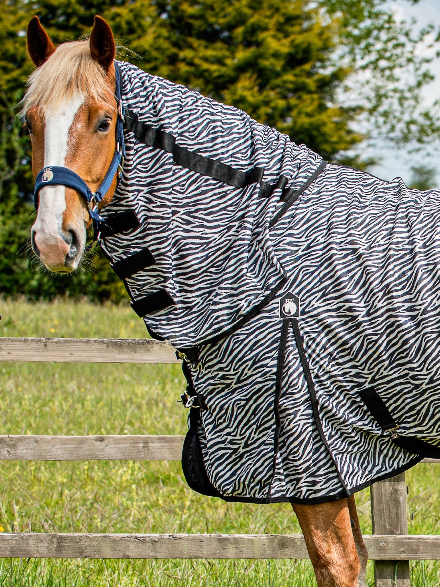 Epic Classic Zebra Fly Rug - Broad Fit