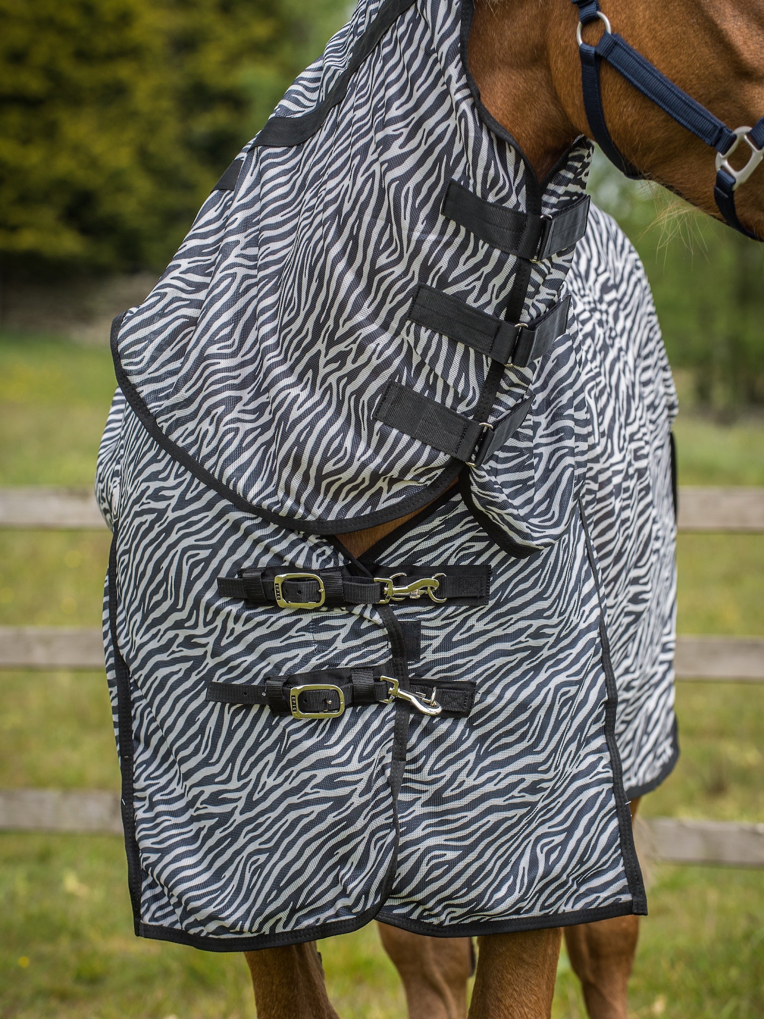 Epic Classic Zebra Fly Rug with Belly Piece - Broad Fit