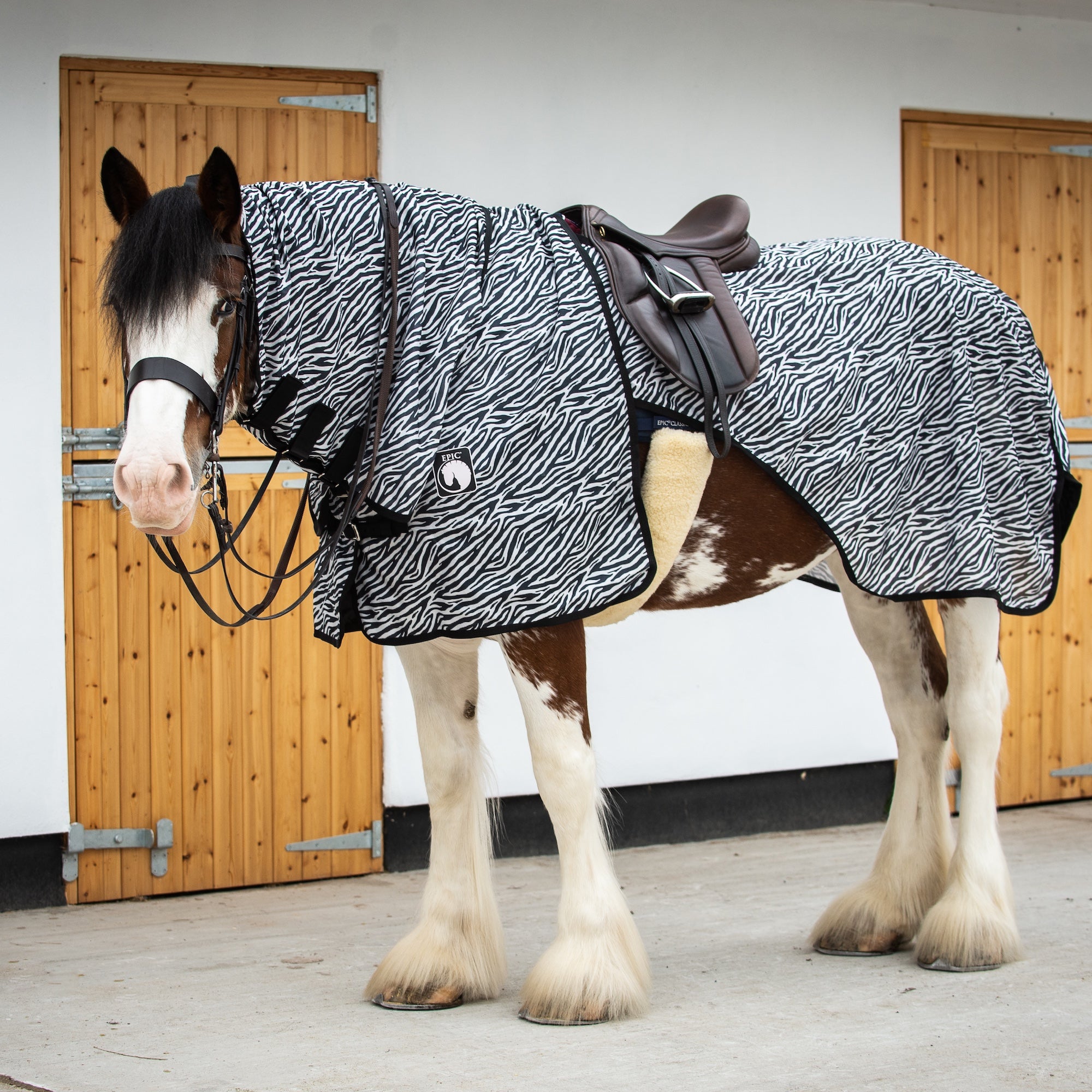 A horse wearing a black and white zebra-patterned horse blanket with a dark brown saddle, standing in front of wooden stable doors.