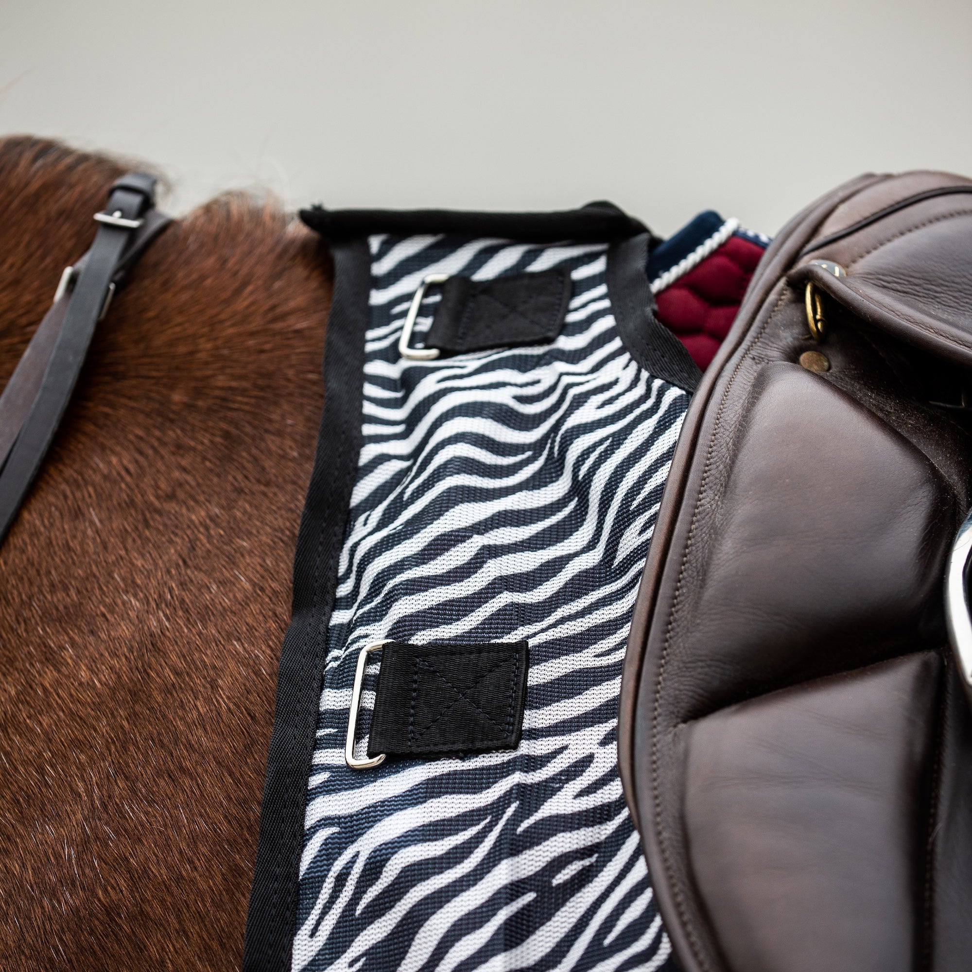 A close-up of a horse saddle pad with a black and white zebra print pattern ride-on fly rug on top, shown on a horse with a brown leather saddle and brown fur visible.