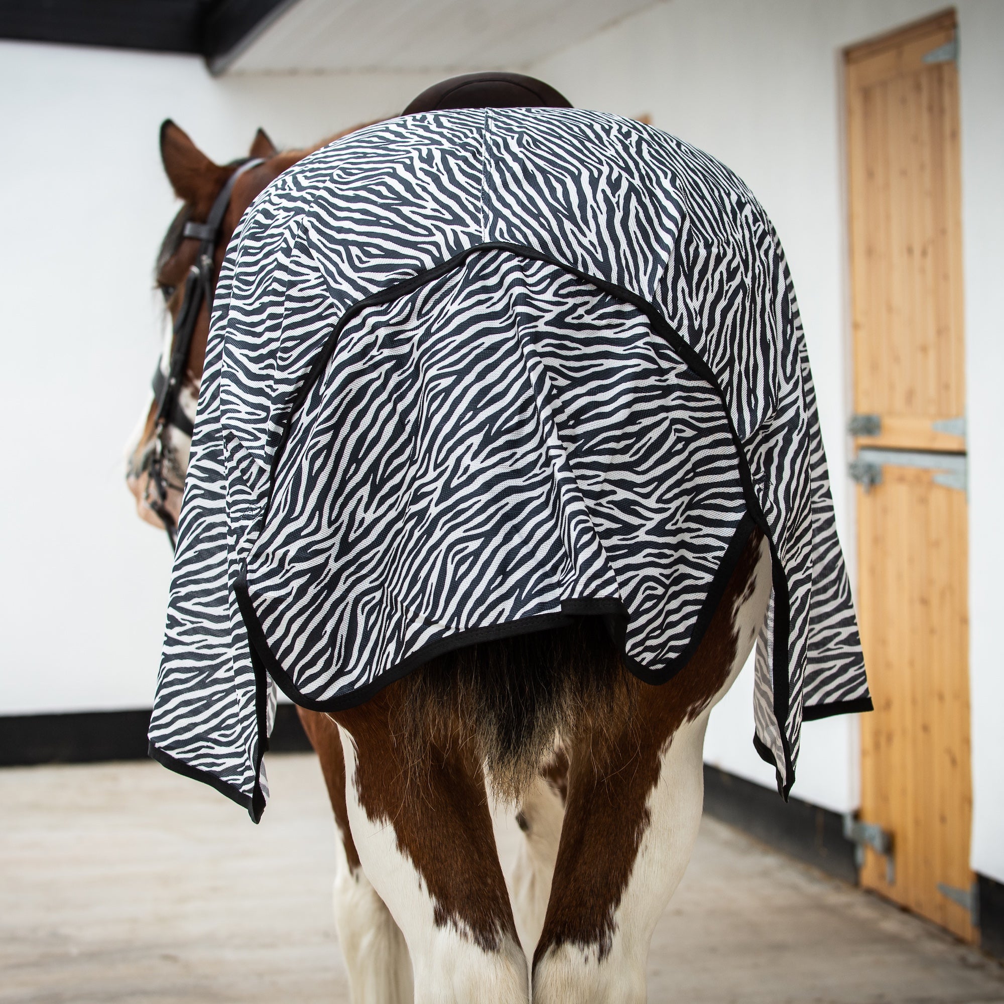 A horse shown from behind wearing a black and white zebra-patterned fly rug in a stable interior with a white wall and wooden door.