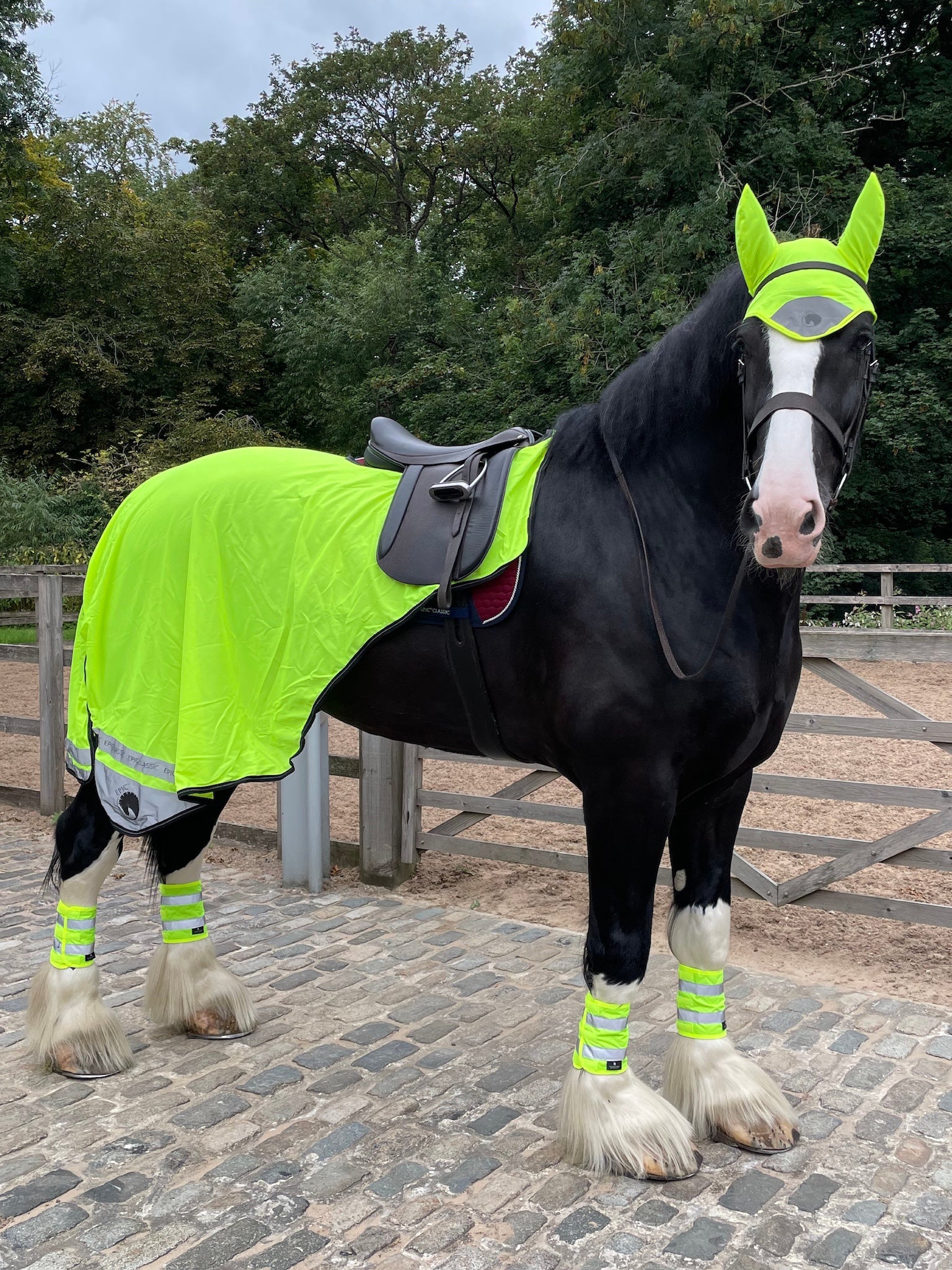 Epic Classic Mesh Exercise Sheet