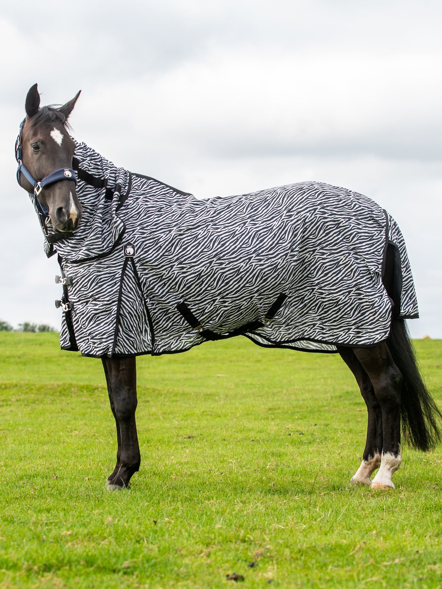 Epic Classic Zebra Fly Rug - Regular Fit