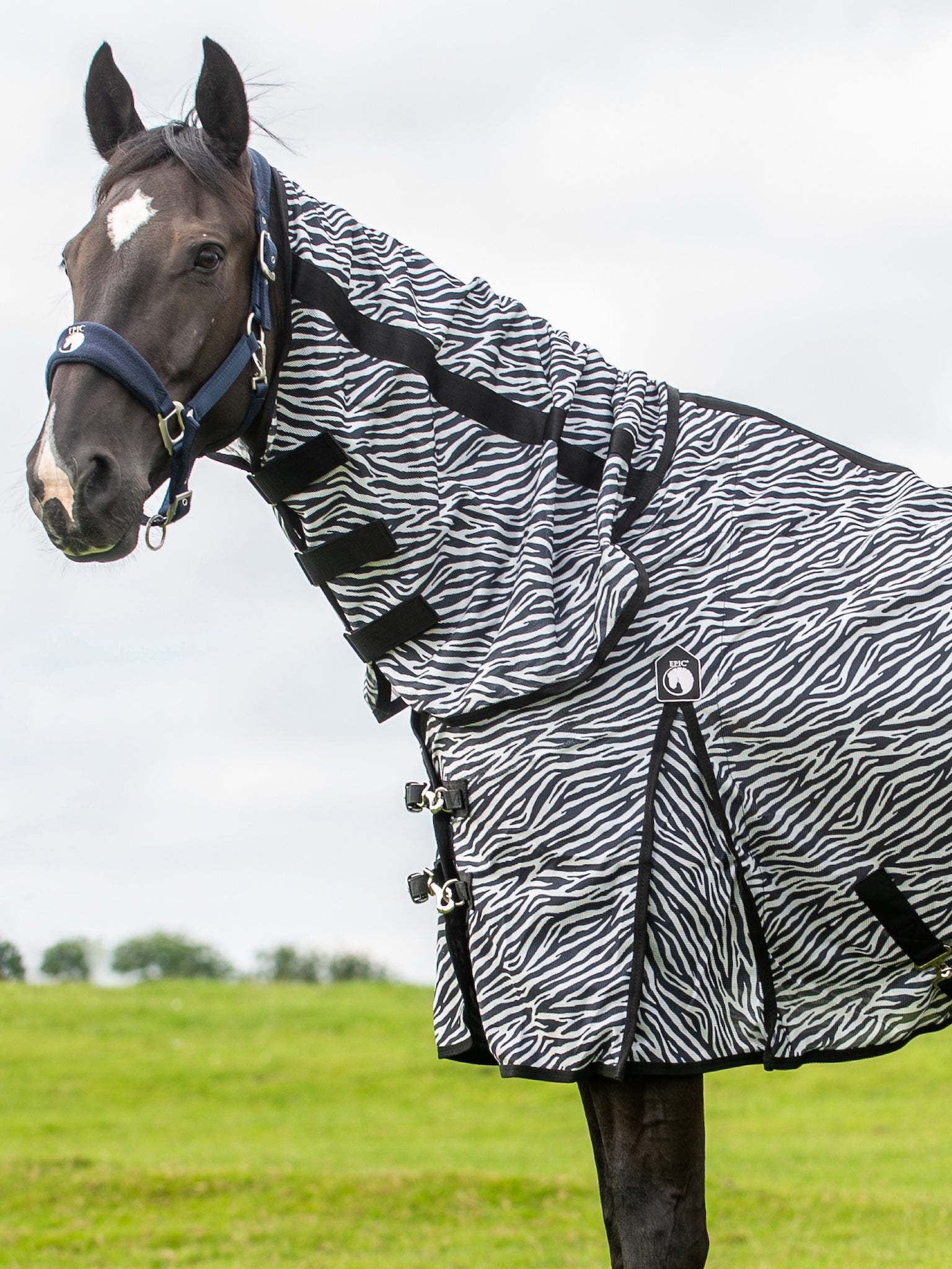 Epic Classic Zebra Fly Rug - Regular Fit