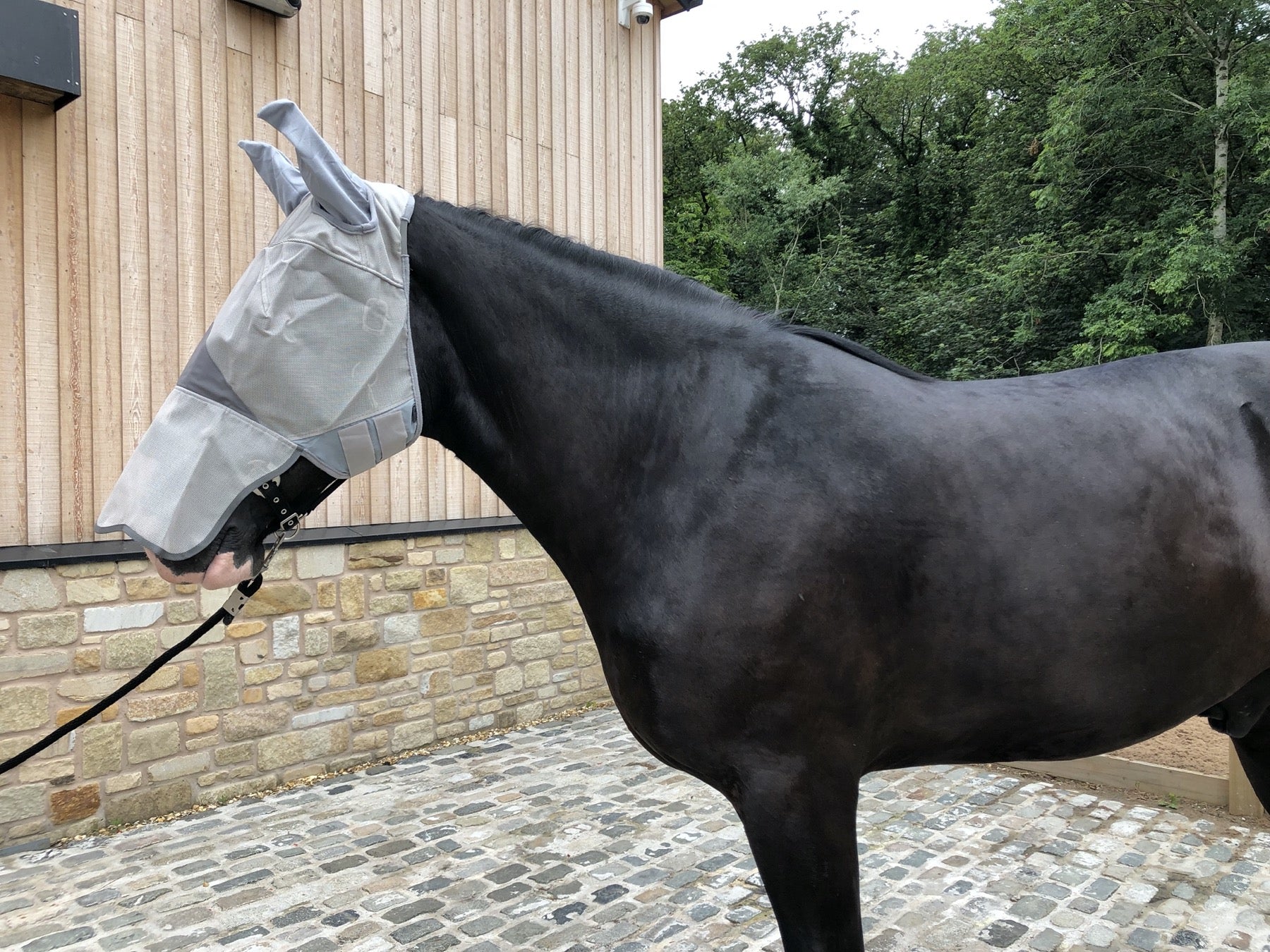 Epic Classic PVC Fly Mask