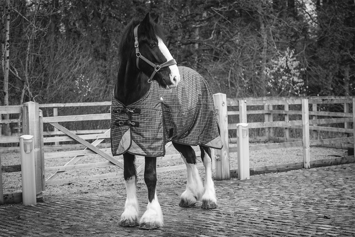 COMING SOON Epic Classic No Fill Turnout Rug  -  Broad Fit