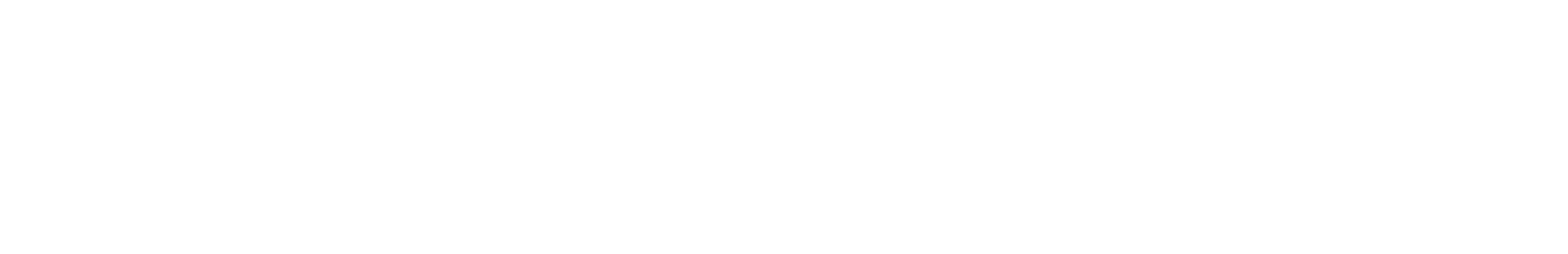 The Big Horse Shop Ltd
