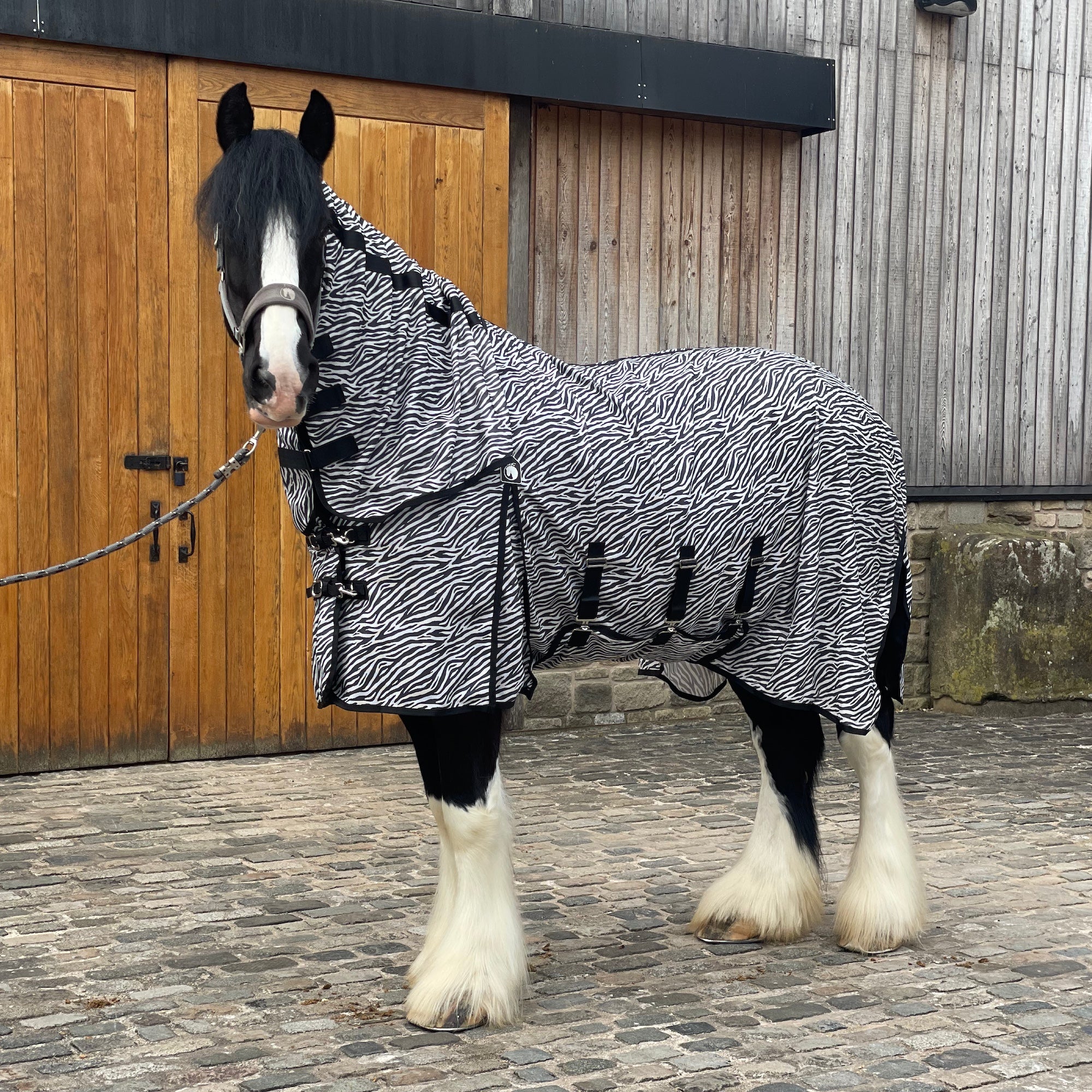 A black and white zebra-patterned horse blanket with a matching neck cover is shown on a black and white Shire horse standing in front of a wooden stable door.