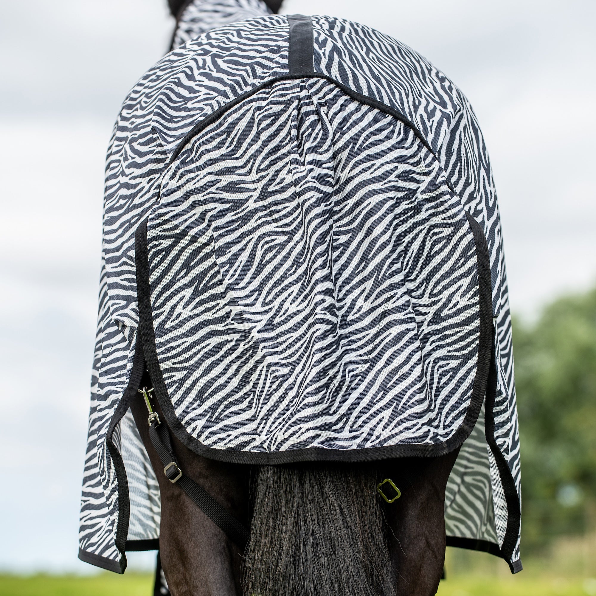A horse turnout blanket with a black and white zebra print pattern, shown draped over the back of a horse outdoors.