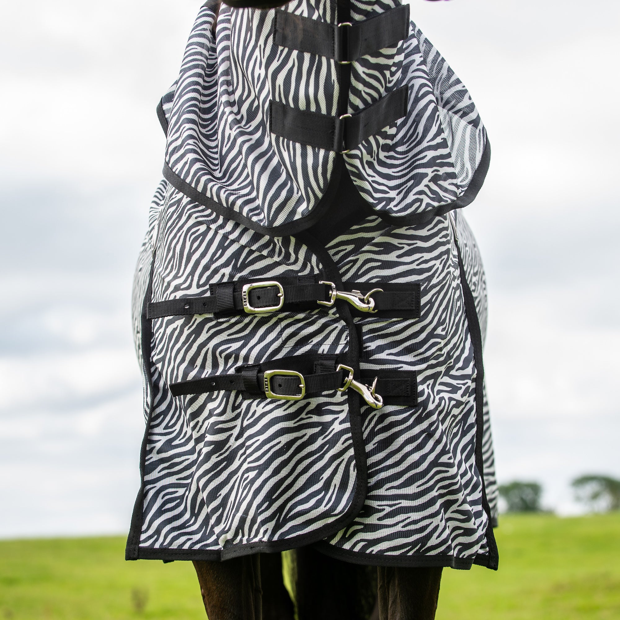 A horse turnout blanket with a black and white zebra print pattern and black straps, shown on a horse in an outdoor field under a cloudy sky.