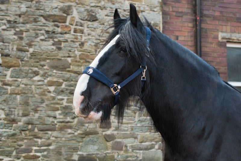 Epic Classic Comfort Fleece Head Collar