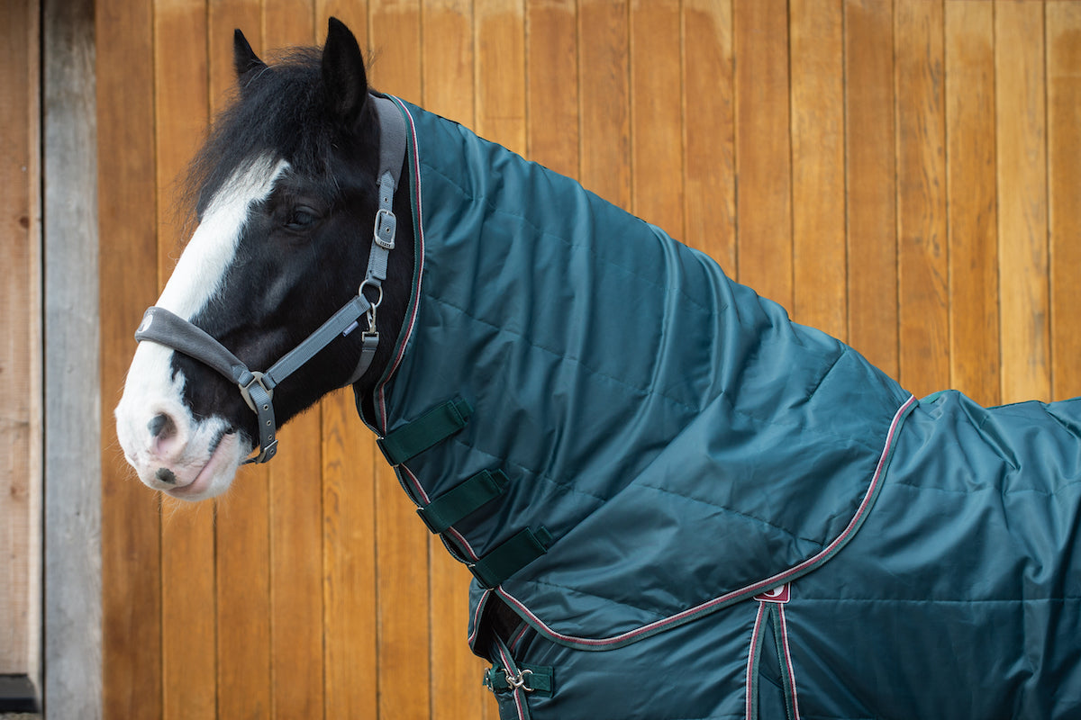 Epic Essential 100g Stable Hood - Broad Fit