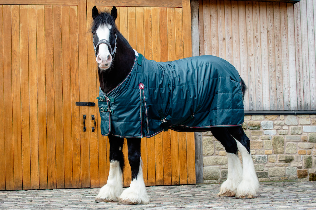 Epic Essential 100g Stable Rug - Broad Fit