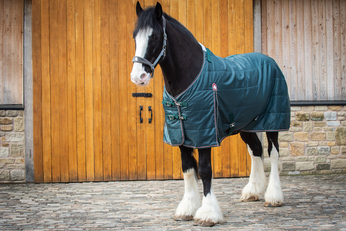 Epic Essential 200g Stable Rug - Broad Fit