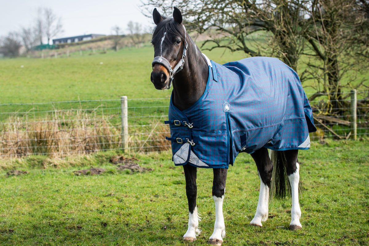 Epic Classic 100g Turnout Rug - Regular Fit