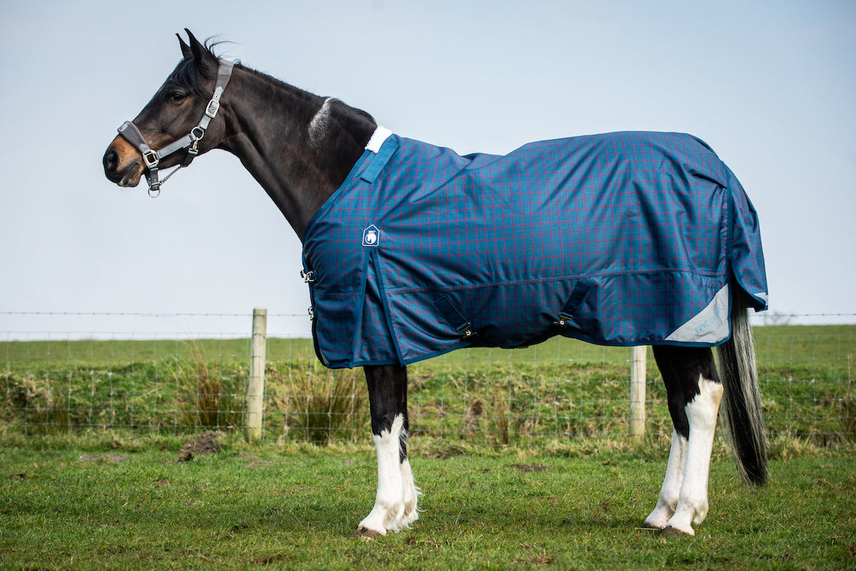 Epic Classic 100g Turnout Rug - Regular Fit